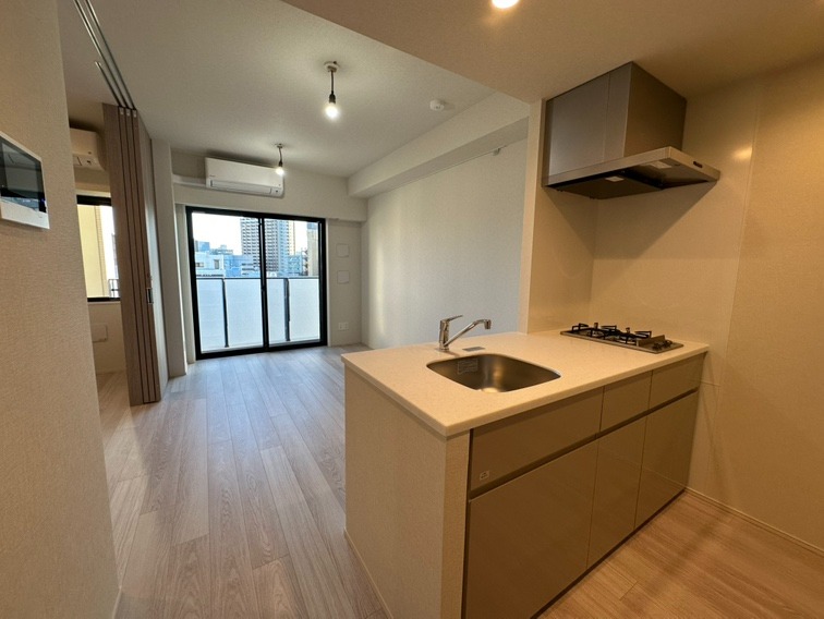 シーズンフラッツ両国サウス8階 部屋その他