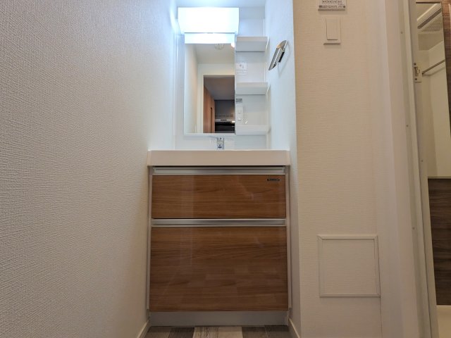 ハーモニーレジデンスグローバルキャピタル0407号室 洗面