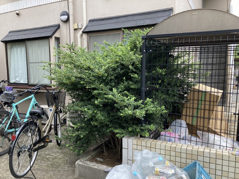 キャピタル北綾瀬Ａ1階 部屋その他