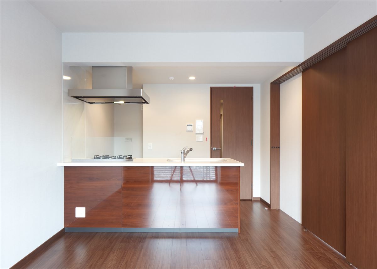 DIPS南六郷208号室 リビング