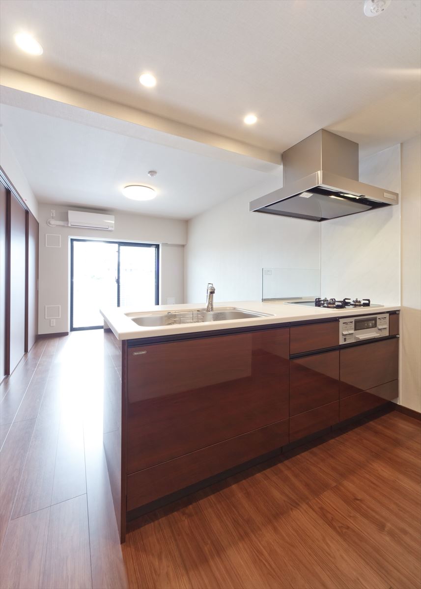 DIPS南六郷208号室 キッチン