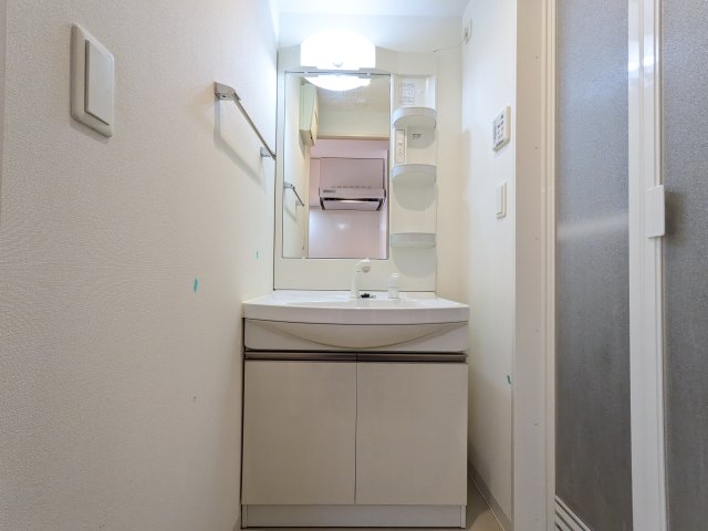 ケーディーエックスレジデンス上野毛201号室 洗面