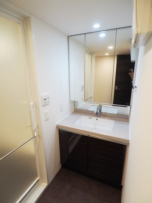 レジディア西小山3階 洗面