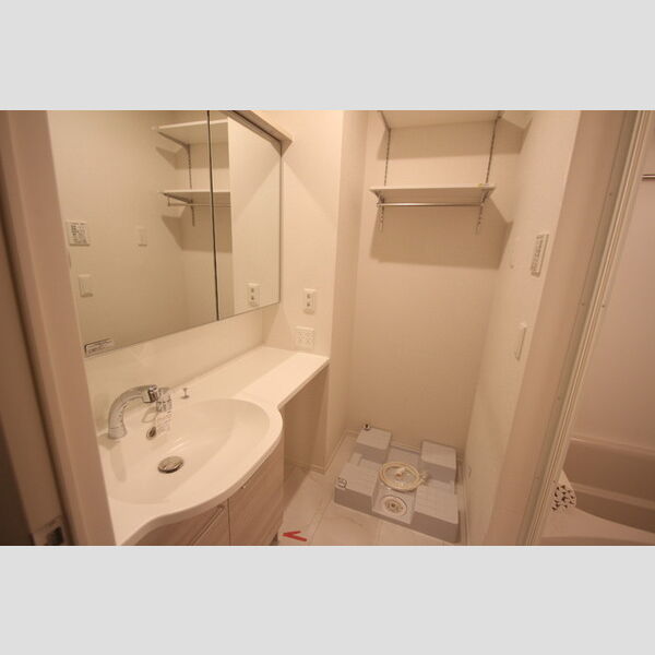 D-paina港南103号室 洗面