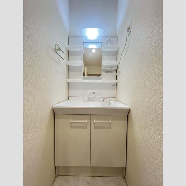 リーブルファイン川口上青木西103号室 洗面