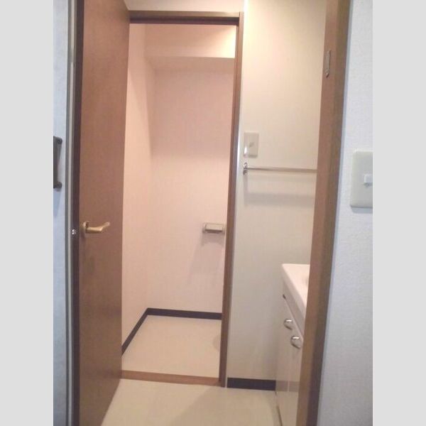 リビングタウン厚木207号室 洗面所