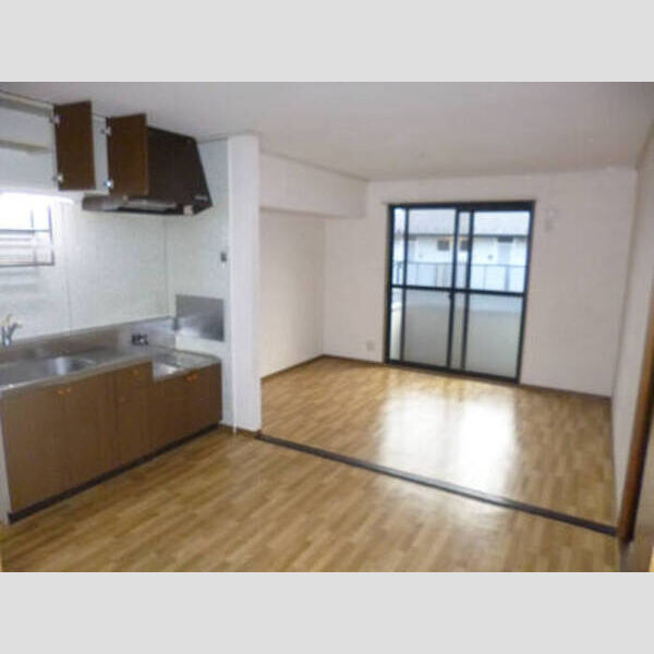 ロイヤルアネックス弐番館 202LDK