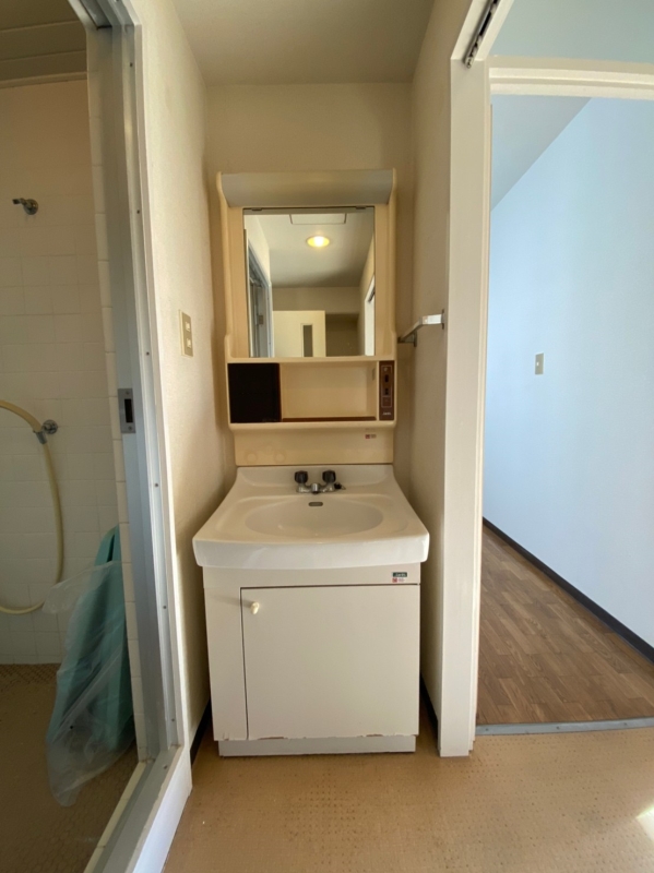 洗足池コーポラス 洗面