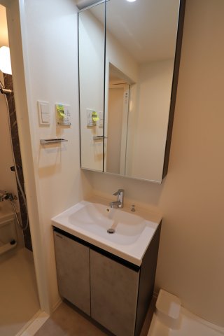 GENOVIA新子安0404号室 洗面