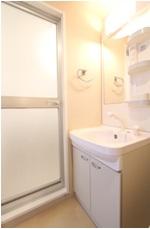 プライムアーバン川口503号室 洗面