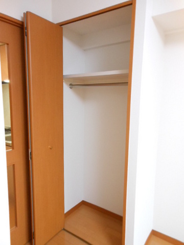 グランド・ガーラ高輪11階 クローゼット