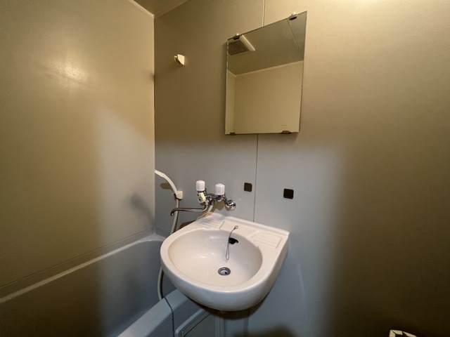 ハイムセレステ0203号室 洗面