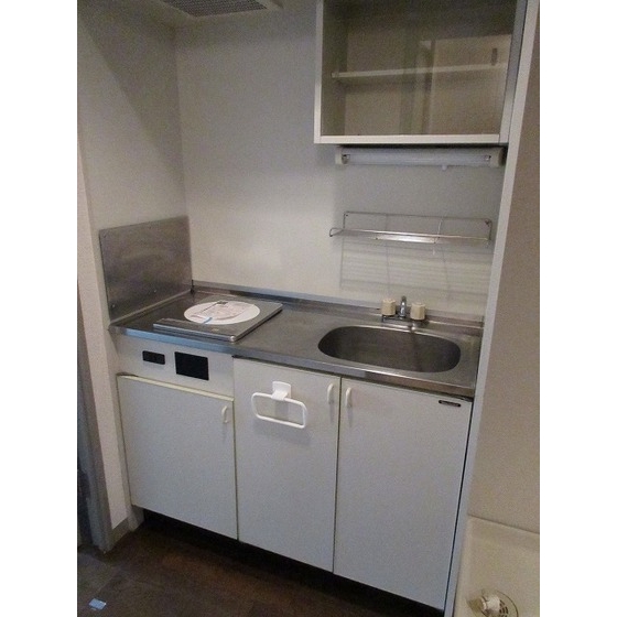 グローイングシティー大和田0307号室 内観