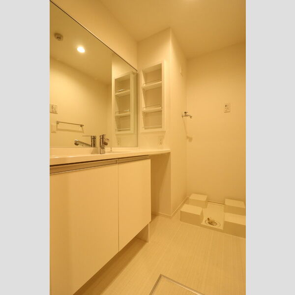 グランメゾン北浦和501号室 洗面