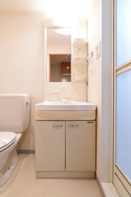 スカイコートヌーベル巣鴨 洗面