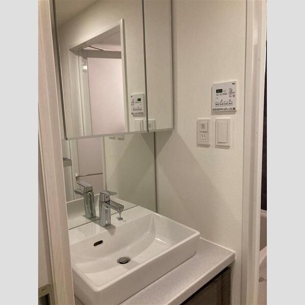 S-RESIDENCE新宿御苑304号室 洗面