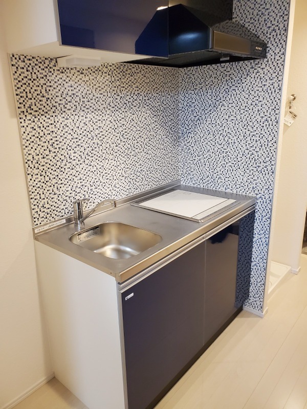 スカイコート武蔵新田Ⅱ キッチン