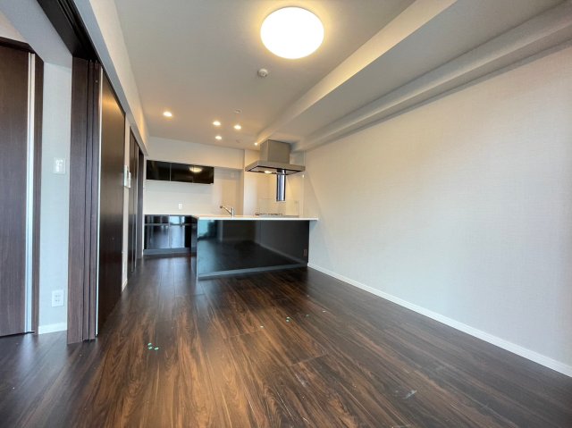 DIPS十条仲原WEST204号室 部屋その他