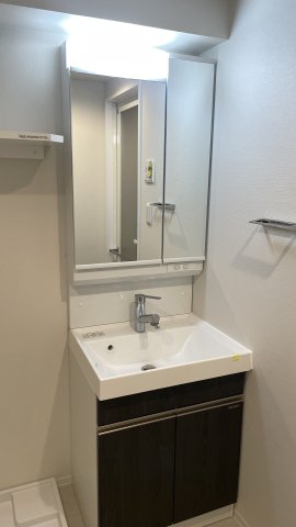 GENOVIA文京千駄木1101号室 洗面