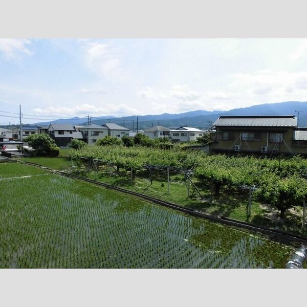 サクラハイツ203号室 ♪バルコニーから撮影♪