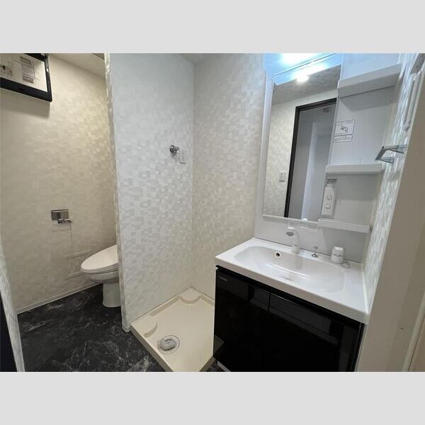 S-RESIDENCE横濱阪東橋504号室 洗面