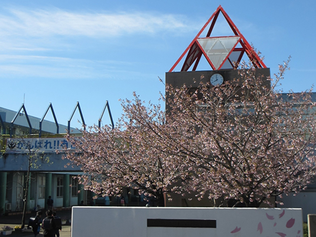 アメニティー・なかにし0302号室 千葉市立有吉小学校
