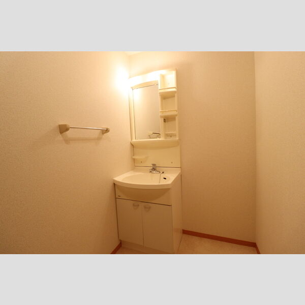 リビングタウン野田　ABCA201号室 洗面台