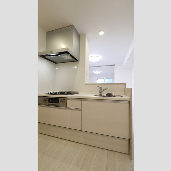 ビーネ北坂戸102号室 システムキッチン