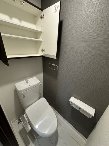 ベイルーム本厚木Norte102号室 トイレ