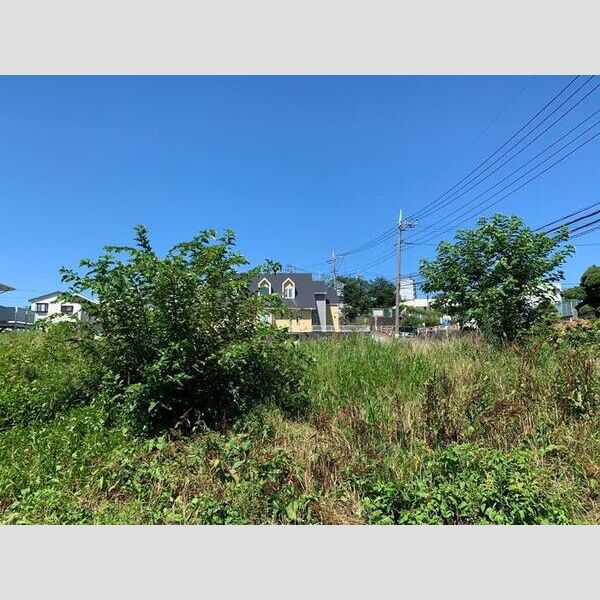 ボナールⅡ 周辺