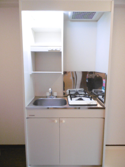Ｂｉｇ　Ｔｈｒｏｕｇｈ0303号室 キッチン