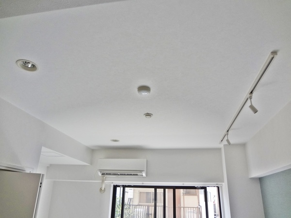 ライオンズマンション淵野辺206号室 スポットライト