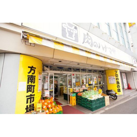 メゾンイーストワイド0202号室 周辺