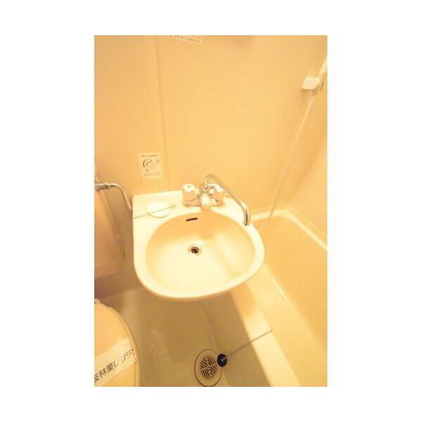 エステートピア勝間103号室 洗面