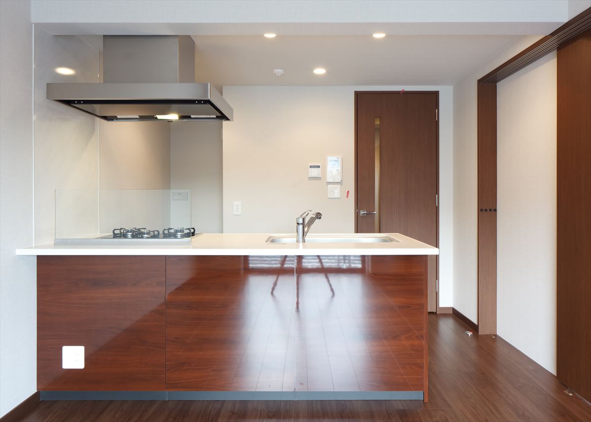 DIPS南六郷208号室 キッチン