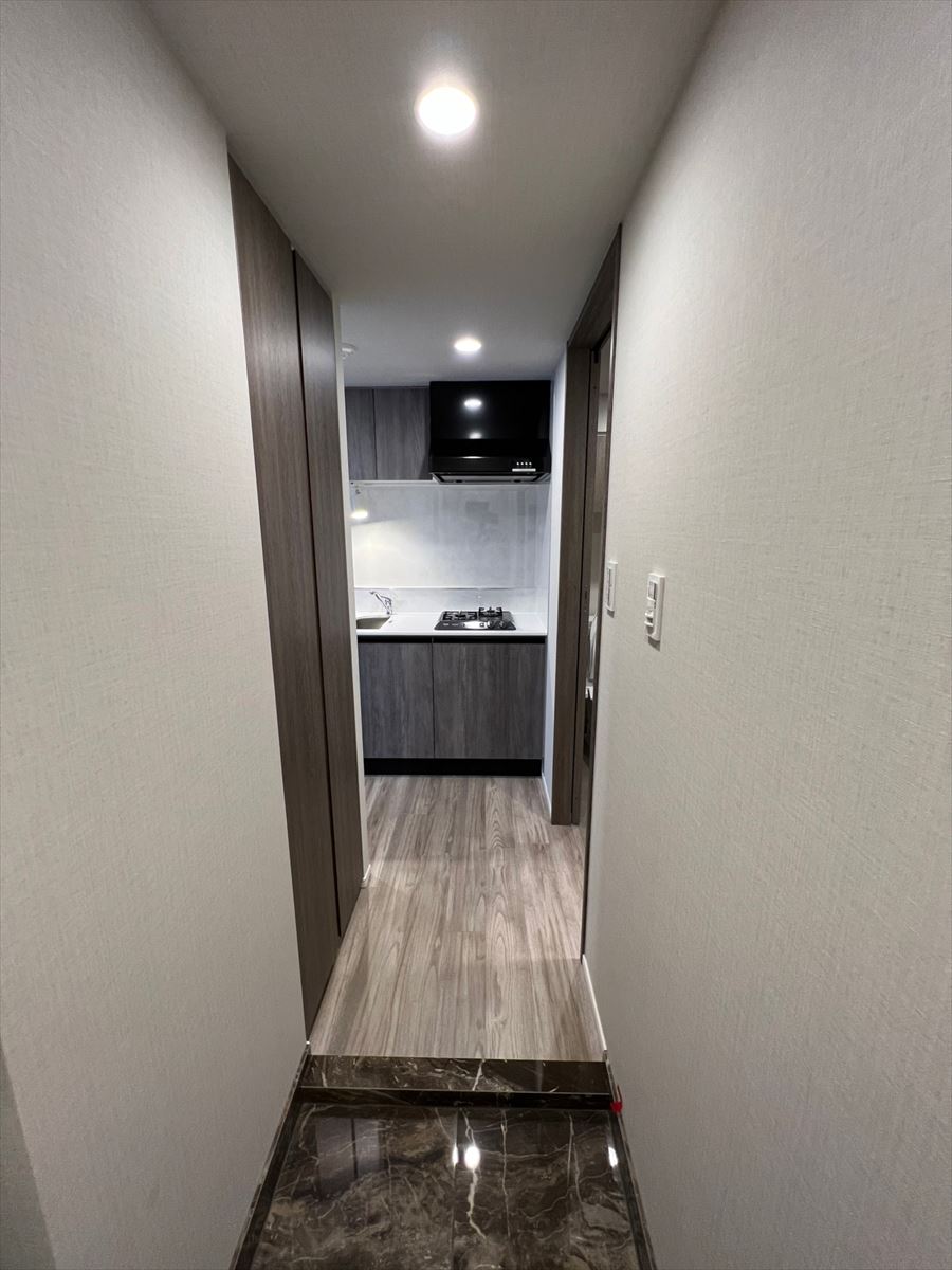 DIPS野方103号室 玄関