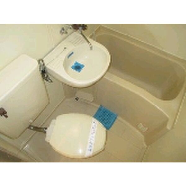 メゾン・ド・プレーヌ0307号室 お風呂