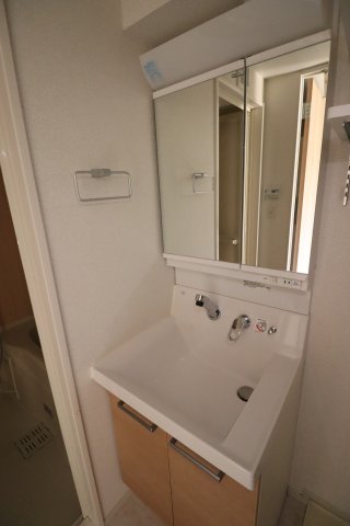 ジェノヴィア東川口0101号室 洗面