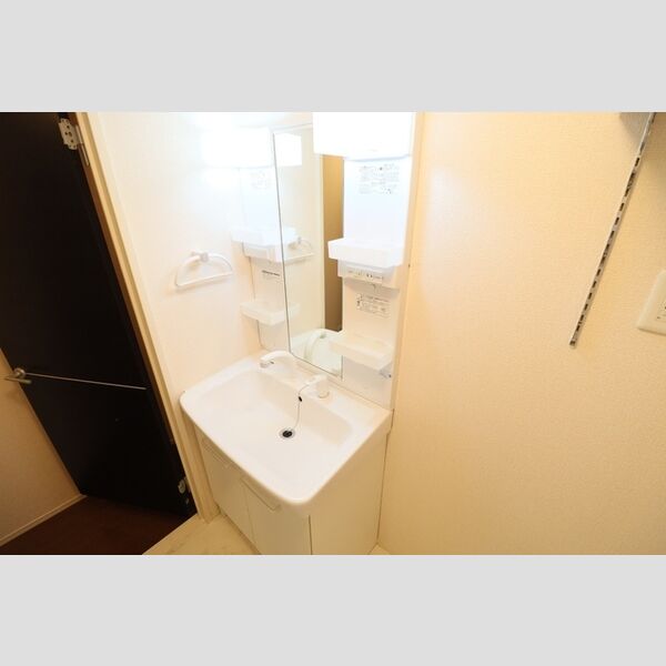 グラマードマレⅡ205号室 洗髪洗面化粧台