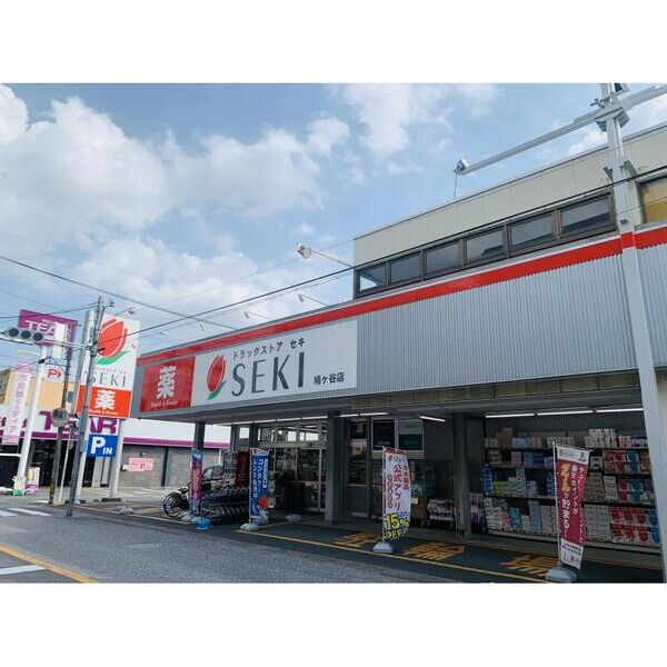 キャメル鳩ケ谷本町205号室 周辺