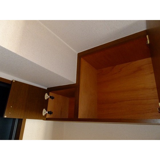 Ｂｅｌｌｅ　Ｖｕｅ新中野0601号室 玄関上部収納