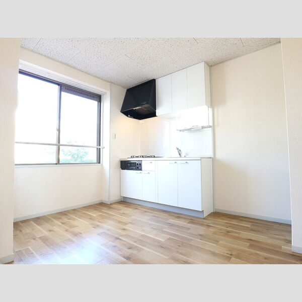 フジスカイマンション DK