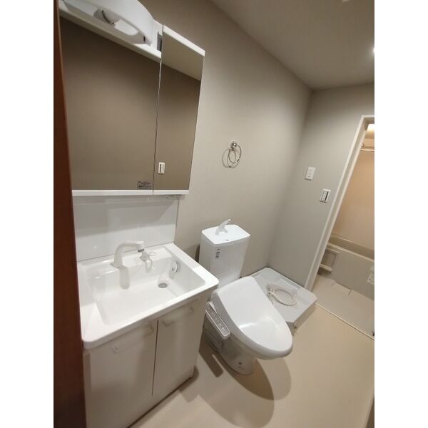 Ambition古千谷本町303号室 洗面