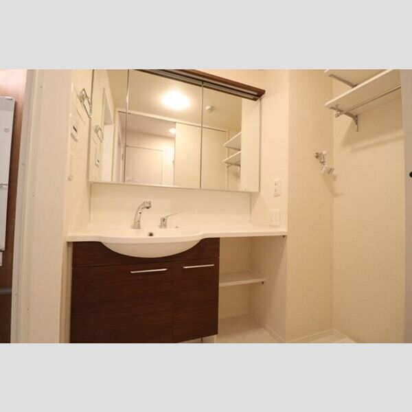 D-room Flower111号室 洗髪洗面化粧台