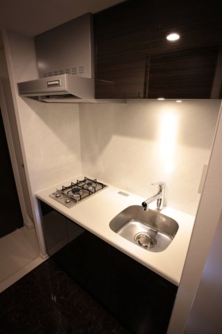 コンシェリア池袋 ＭＡＳＴＥＲ’Ｓ ＶＩＬＬＡ410号室 エントランス