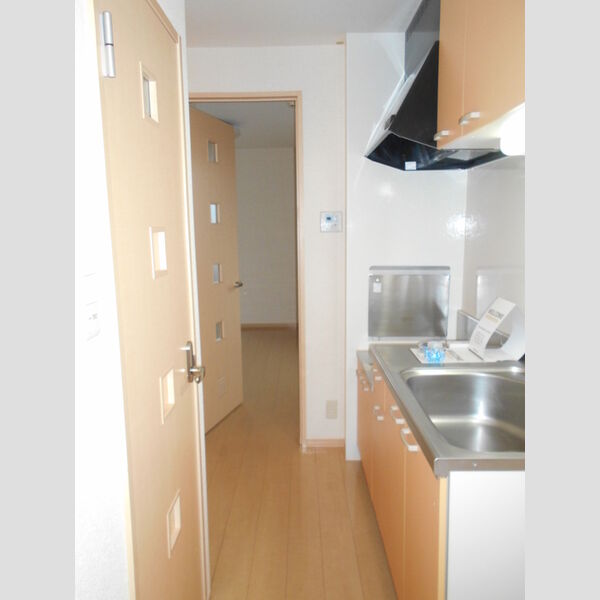 ヴェリタ サクラーレ305号室 部屋その他