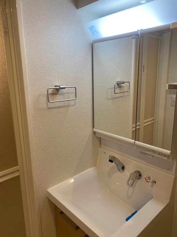 ジェノヴィア東川口3階 洗面