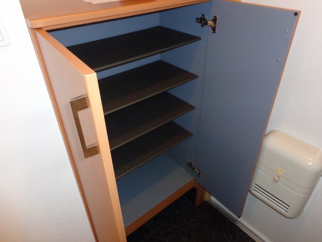 ＥＶＥＲ　ＳＨＩＮＥ　ＳＨＯＮＡＮ シューズＢＯＸ