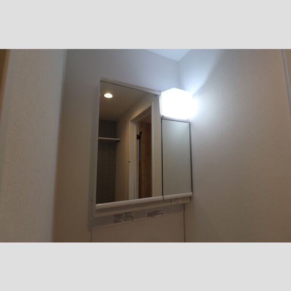 ルミナス所沢301号室 洗髪洗面化粧台