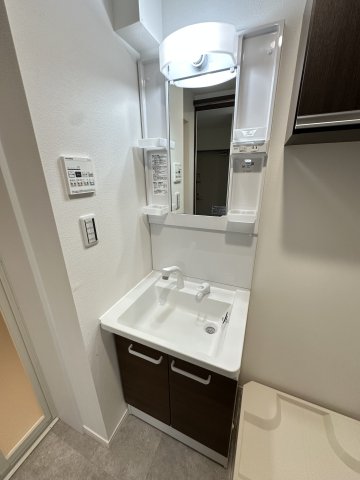 ベイルーム本厚木Norte102号室 洗面